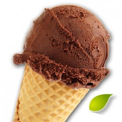 Glace au Chocolat hyperprotéinée - stevia